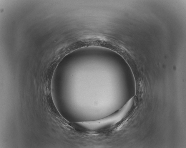 X0000062930965200601181305