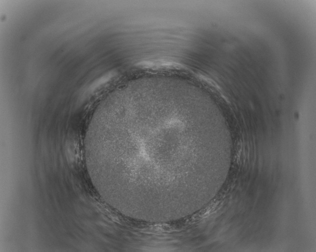 X0000062930966200601181305