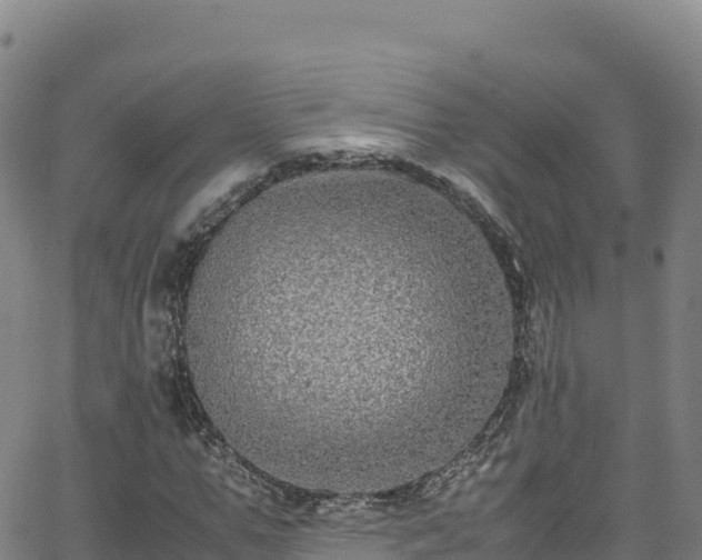 X0000062930967200601181305