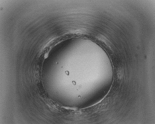 X0000062930968200601181305