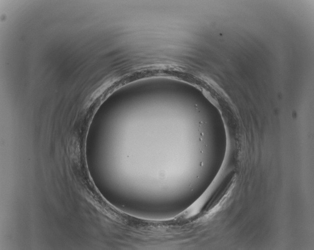 X0000062930969200601181305