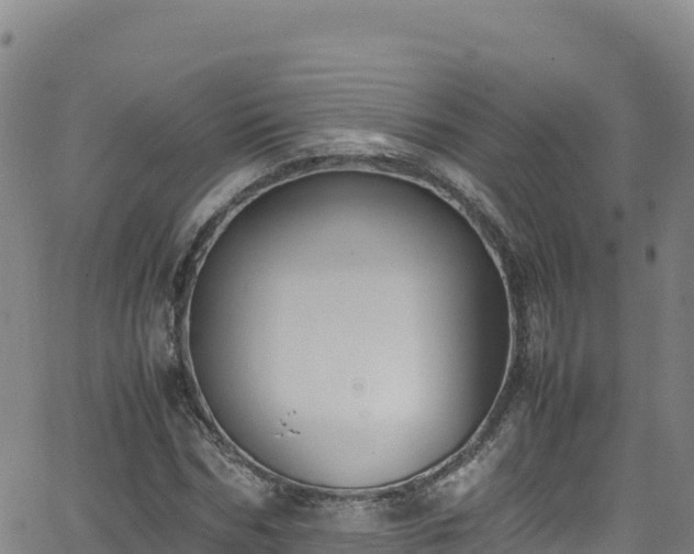 X0000062930970200601181305