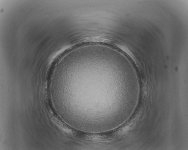 X0000062930971200601181305