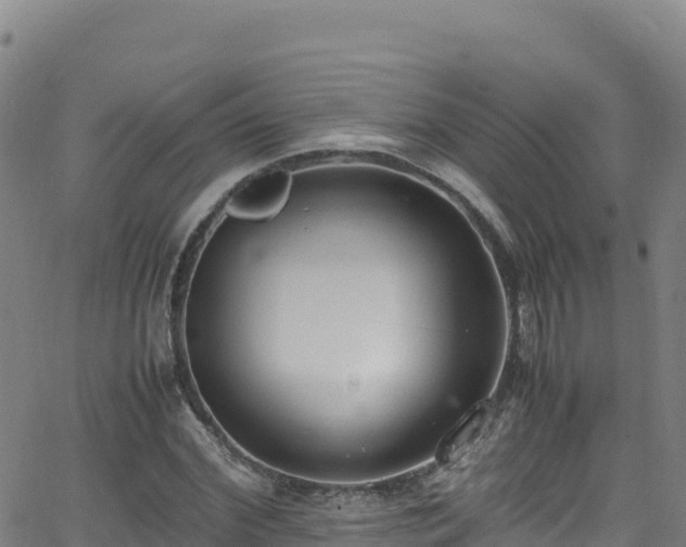 X0000062930972200601181305