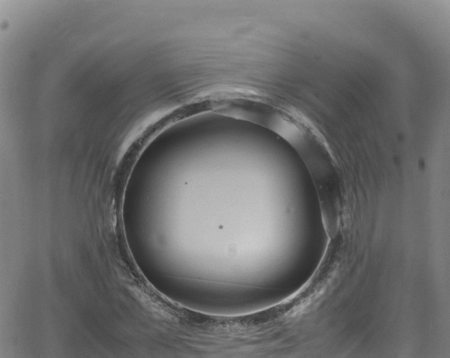 X0000062930973200601181305