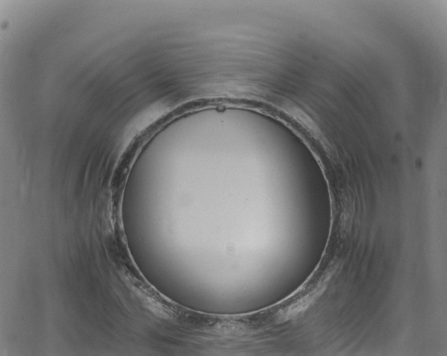 X0000062930974200601181305