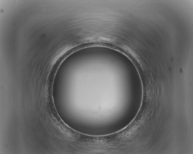 X0000062930975200601181305