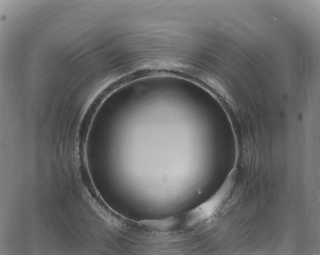 X0000062930976200601181305