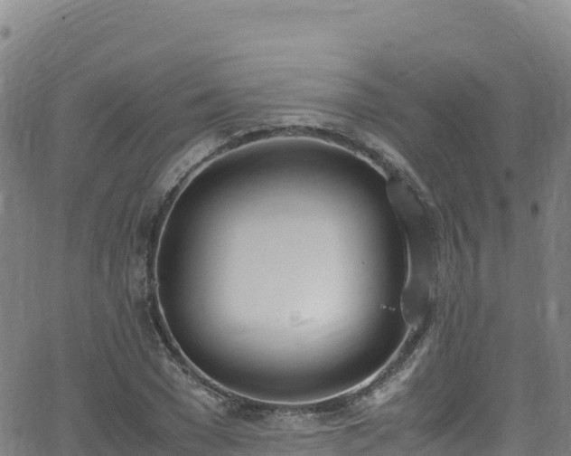 X0000062930977200601181305