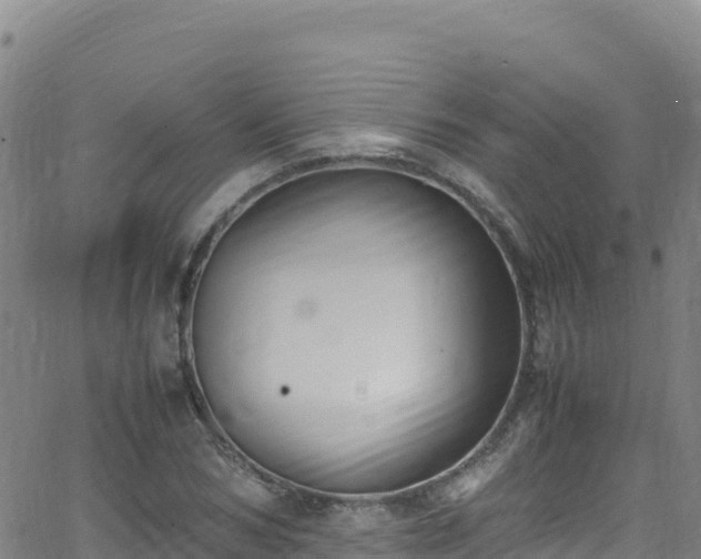 X0000062930978200601181305