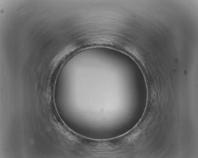 X0000062930979200601181305