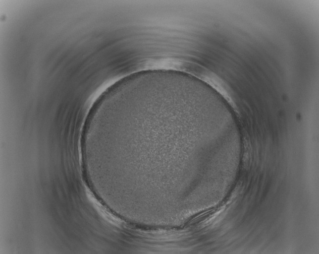 X0000062930980200601181305