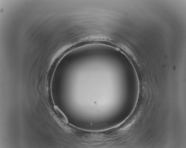 X0000062930981200601181305