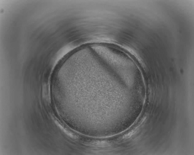 X0000062930982200601181305