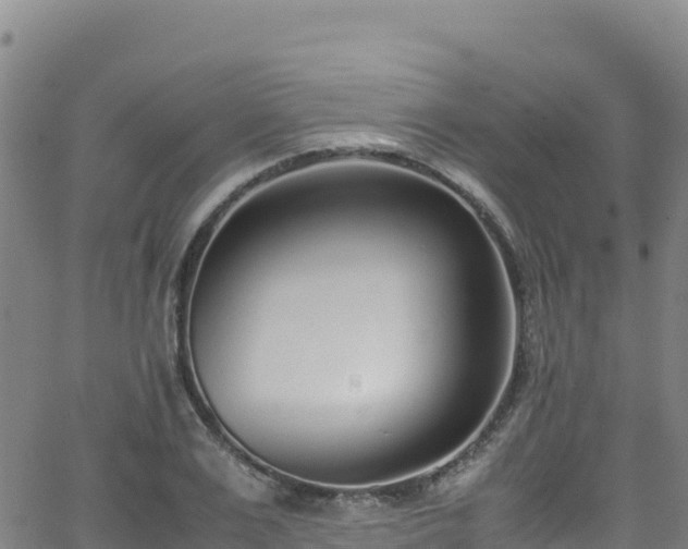 X0000062930983200601181305