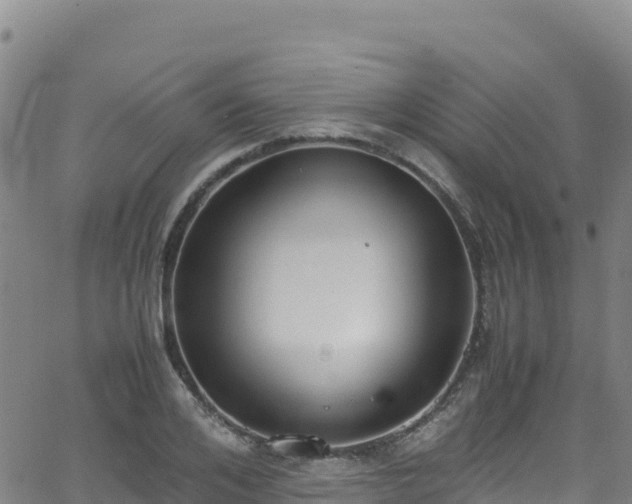 X0000062930984200601181305