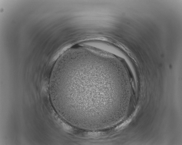 X0000062930985200601181305