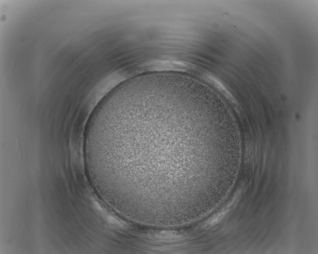 X0000062930986200601181305