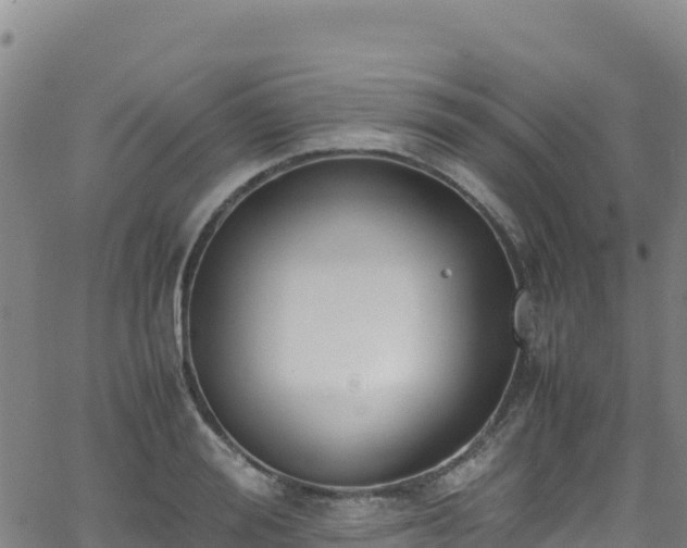 X0000062930988200601181305