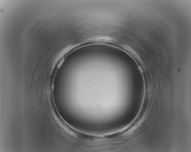 X0000062930989200601181305