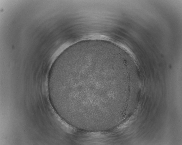 X0000062930990200601181305