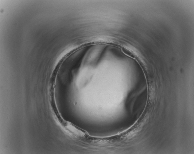 X0000062930991200601181305