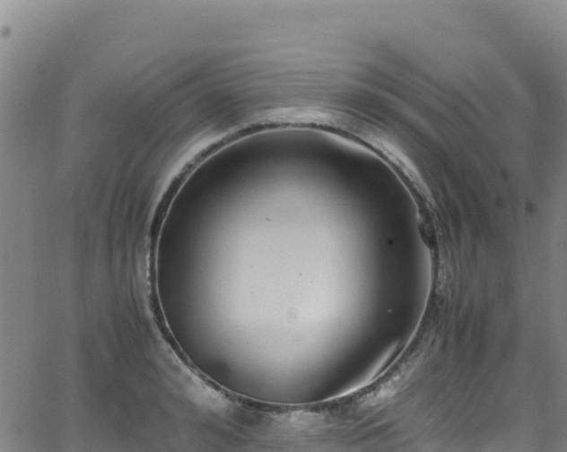 X0000062930992200601181305