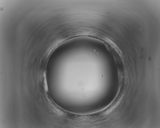 X0000062930993200601181305