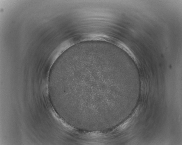 X0000062930994200601181305