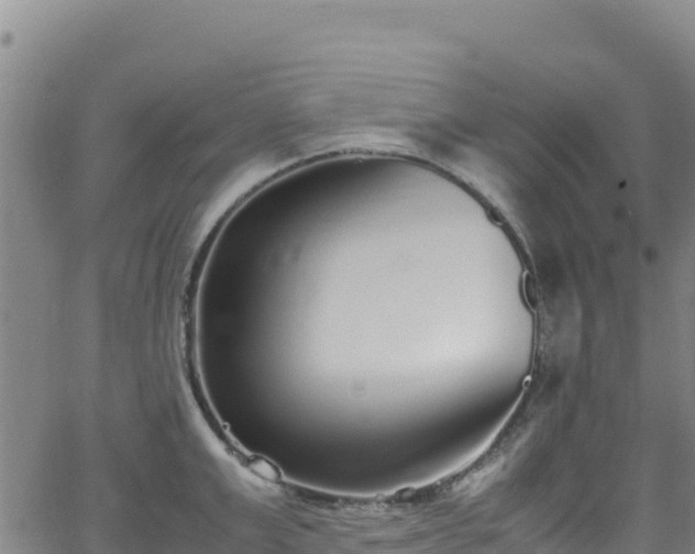 X0000062930999200601181305