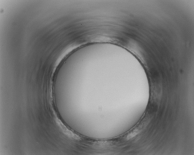 X0000062931000200601181305