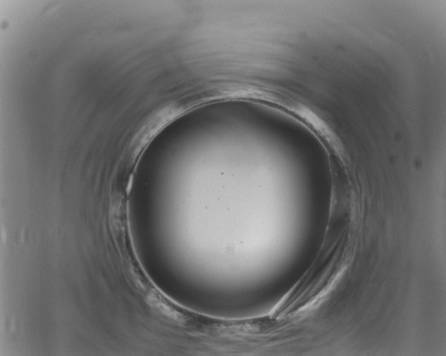 X0000062931001200601181305