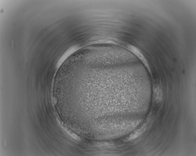 X0000062931002200601181305