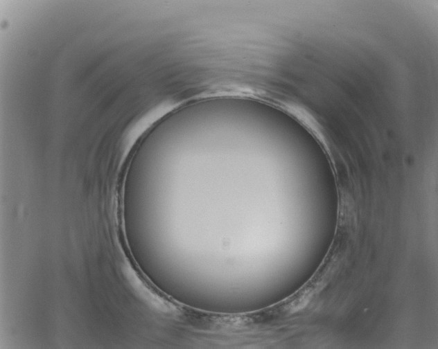 X0000062931003200601181305