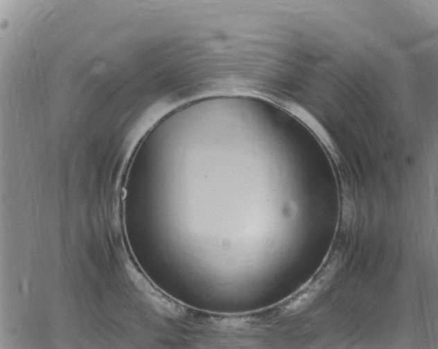 X0000062931004200601181305