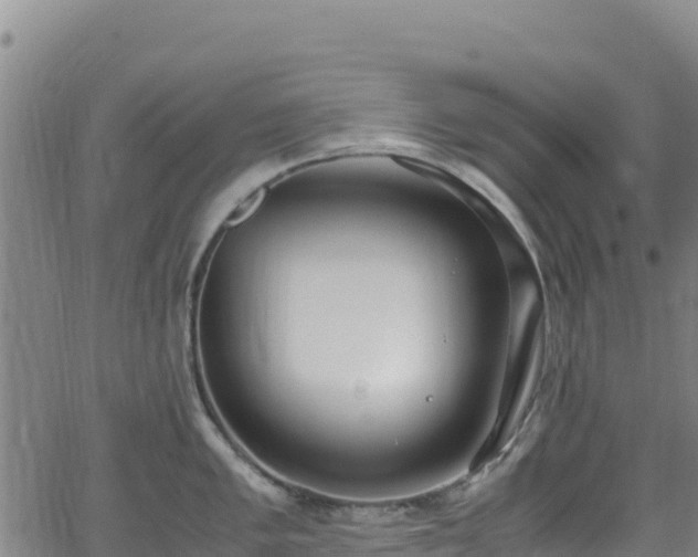 X0000062931005200601181305