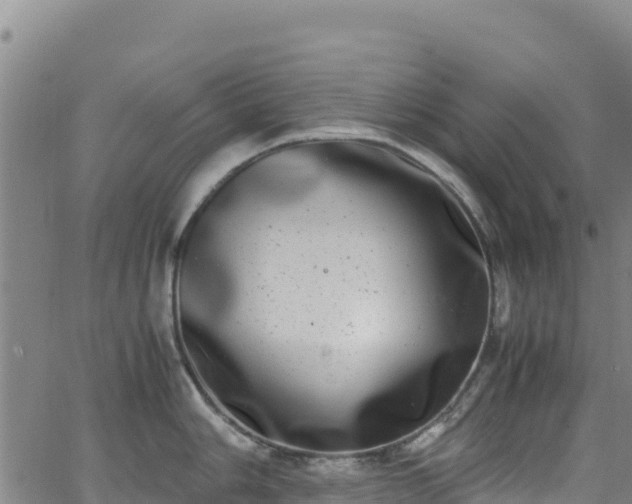 X0000062931006200601181305