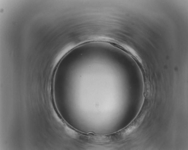 X0000062931007200601181305