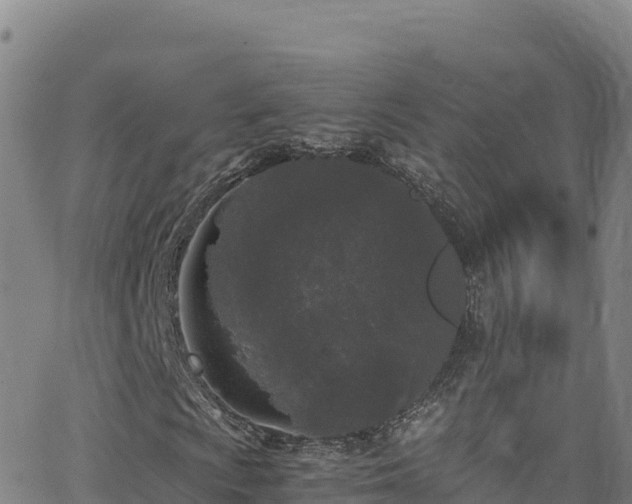 X0000062931009200601181304