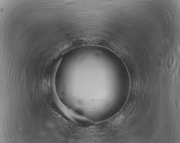 X0000062931010200601181304