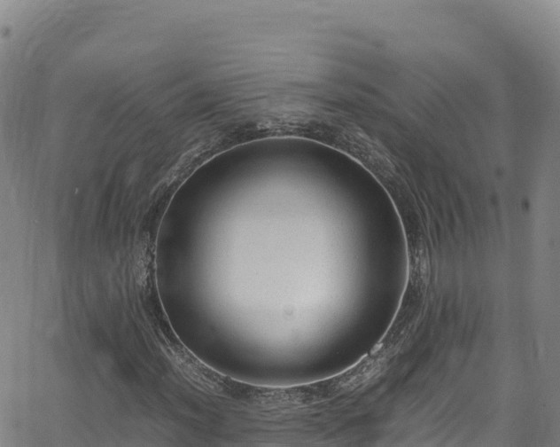 X0000062931012200601181304