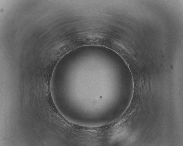 X0000062931013200601181304