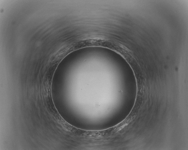 X0000062931014200601181304