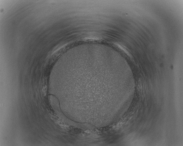 X0000062931015200601181304