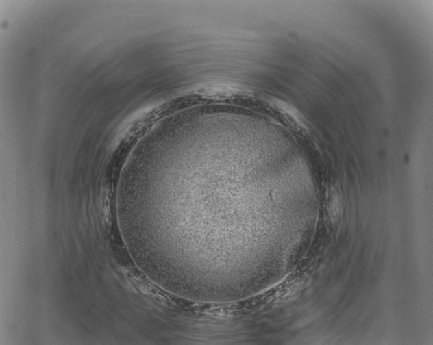 X0000062931016200601181304