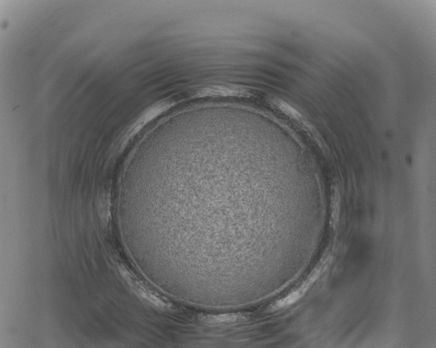 X0000062931017200601181304