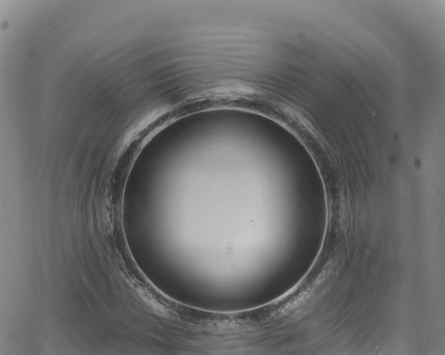 X0000062931018200601181304