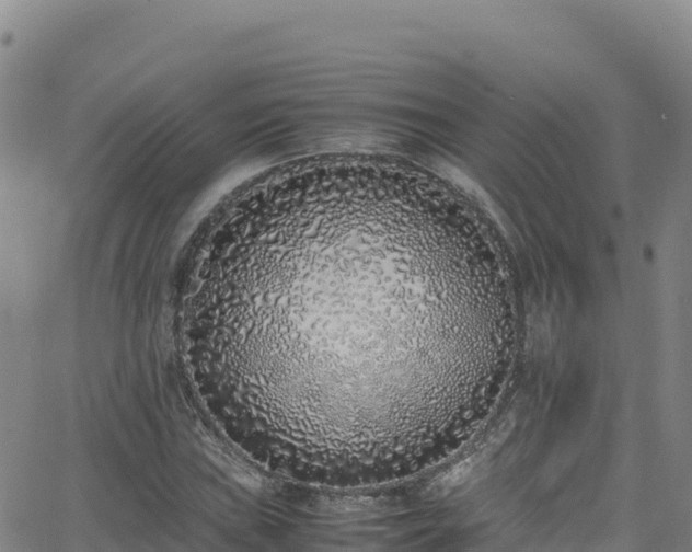 X0000062931019200601181304