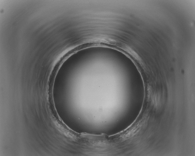 X0000062931020200601181304