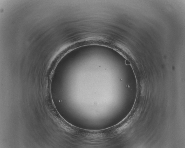 X0000062931021200601181304